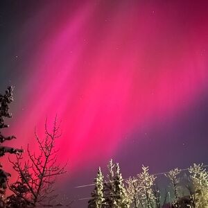 Vibrant Pink and Purple Northern Lights